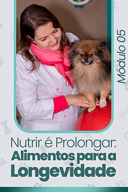 Capa de Módulo 6 320x480